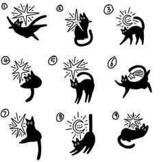 black and white illustrations of cats in different positions