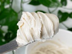 a close up of a spoon with cream on it and leaves in the back ground