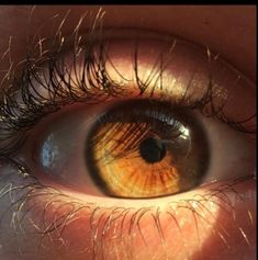 #aesthetic  #brown #eyes Brown Eyes Reference, Chocolate Brown Eyes Aesthetic, Honey Brown Aesthetic, Honey Eyes Aesthetic, Honey Brown Eyes Aesthetic, Pretty Brown Eyes Aesthetic, Brown Eye Aesthetic, Aesthetic Brown Eyes