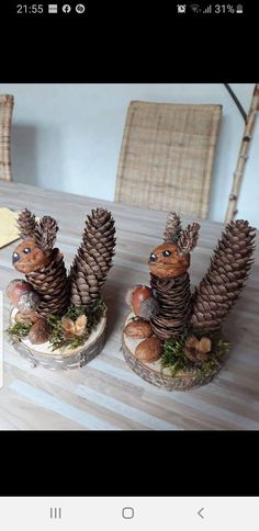 two small pine cones sitting on top of a wooden table