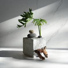 "Crafted from premium alpine white concrete, this one of a kind closed form sculpture is a statement piece for almost any space.  Each facet of this wabi inspired cube is meticulously hand textured to create a play of light and shadow.  The fusion of raw material and refined craftsmanship lends itself to shelf design or coffee table decor, while its monochromatic palette allows it to seamlessly integrate into diverse environments. Concrete is sealed with a highly water resistant finish, to clean Cube Sculpture, Form Sculpture, Monochromatic Palette, Creator Studio, Coffee Table Decor, Alpine White, White Concrete, Shelf Design, Decorating Coffee Tables