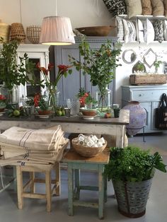 a room filled with lots of potted plants on top of wooden tables and chairs