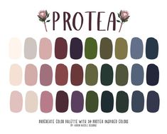 the color scheme for proteaa