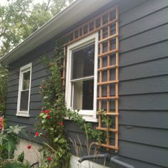 a house that has some plants growing on the side of it and a bike parked in front of it