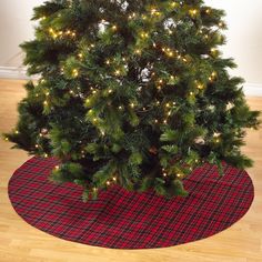 a christmas tree with lights on it in the corner of a room next to a rug