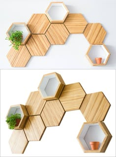 the shelves are made out of wood and have plants in them