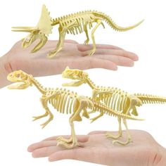 two hands holding three different types of dinosaur skeleton models in each hand, one is yellow and the other is white