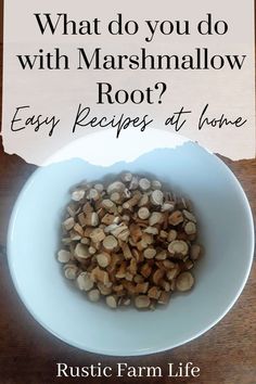 what do you do with marshmallow root? easy recipes at home rustic farm life