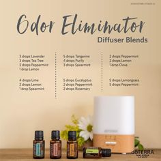 Essential Oils For Cleaning, Oils For Diffuser, Doterra Diffuser Blends, Essential Oil Combinations, Doterra Essential Oils Recipes, Young Living Essential Oils Recipes, Essential Oils Guide, Essential Oil Spray