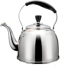 a stainless steel tea kettle on a white background