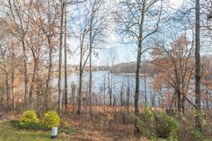 a lake surrounded by trees in the middle of a forest with no leaves on it