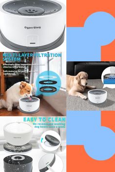 there are many different items that can be used to clean the dog's house