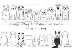 dogs sitting front and back line bundle