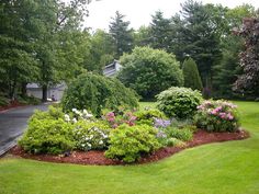 a lush green yard filled with lots of flowers and shrubs next to a house in the background