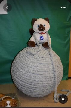 a stuffed animal sitting on top of a large ball with a cat laying next to it