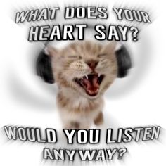 a cat with headphones on its ears saying what does your heart say? would you listen any way?