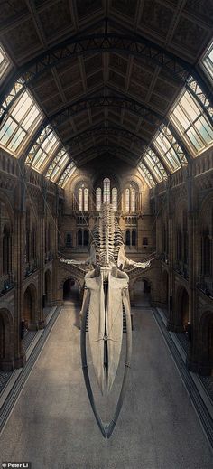 an animal skeleton is in the middle of a large room with high ceilings and arched windows