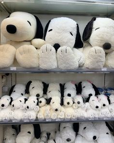 stuffed dogs are lined up on shelves in a toy store, one is white and the other is black