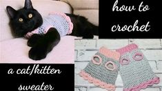 a black cat laying on top of a couch next to two crocheted mittens