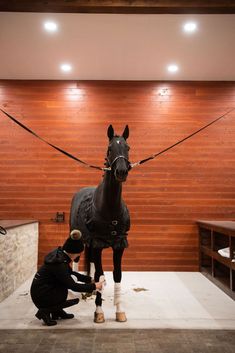 a man standing next to a black horse in a room with wood paneling on the walls