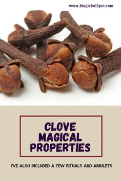 Clove Plant, Herbs Witchcraft, Cloves Benefits, Cloves Spice, Witchcraft Herbs, Magickal Herbs, Magic Herbs, Green Magic