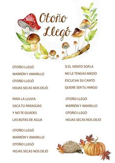 a menu with mushrooms, leaves and other things to eat on the table in spanish