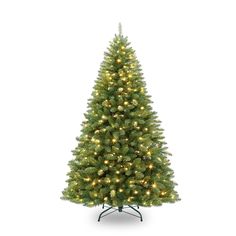 a green christmas tree with white lights