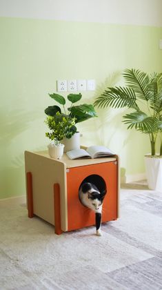 a cat hiding in a cardboard box with plants on the top and bottom shelf above it