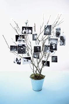 a potted plant with pictures on it and the words get happy and create this quirky photo display to add a personal touch to your venue