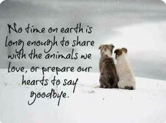 two small dogs sitting in the snow with a quote written on it that says no time on earth is long enough to share with the animals we love, or prepare our hearts to say goodbye