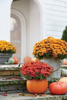 pumpkins and gourds are sitting on the steps