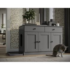 a cat is sitting on the floor in front of a cabinet with drawers and doors