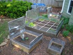 an outdoor garden area with raised beds and plants