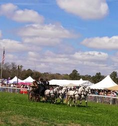 a group of people riding on the backs of white horses in front of a crowd