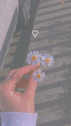 a person's hand holding daisies in front of a car with the word i love you written on it