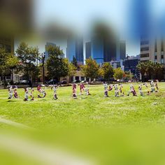 a group of children are playing baseball in the grass with buildings in the back ground