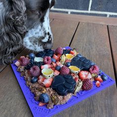 a dog sniffing a cake with fruit on it