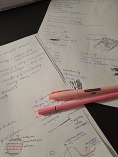 a pink pen sitting on top of some paper with writing on it and another pen next to it