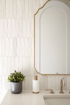 a bathroom sink with a mirror above it and a plant on the counter next to it