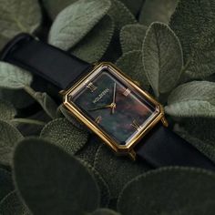 Auctoritas (Nacre/Gold) | Holzkern Wood Watches Solar Watch, Classy Watch, Amazing Watches, All In One App, Leather Watch Strap, Gift List, Beautiful Watches, Women's Watch, Grimm