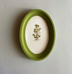 a green and white frame with a small pressed flower in it's center on the wall