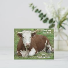 a greeting card featuring a cow and her calf laying down on the grass with flowers in the background