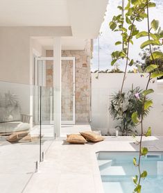 an indoor swimming pool surrounded by greenery next to a white house with glass walls