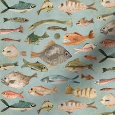 a painting of many different types of fish