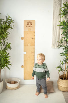 a little boy standing in front of a tall growth chart and potted plants on the floor