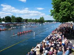 a large group of people watching boats go down the river