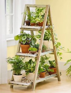 a wooden plant stand filled with potted plants