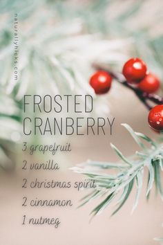 Frosted Cranberry, Cranberry Christmas, Essential Oil Skin Care