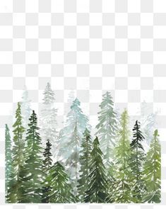 an image of trees in the forest with watercolor effect png and psd