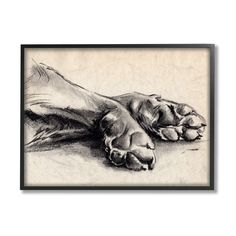 a black and white drawing of a dog's paw on top of the ground